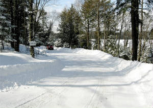 driveway.jpg