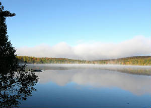morningmist.jpg